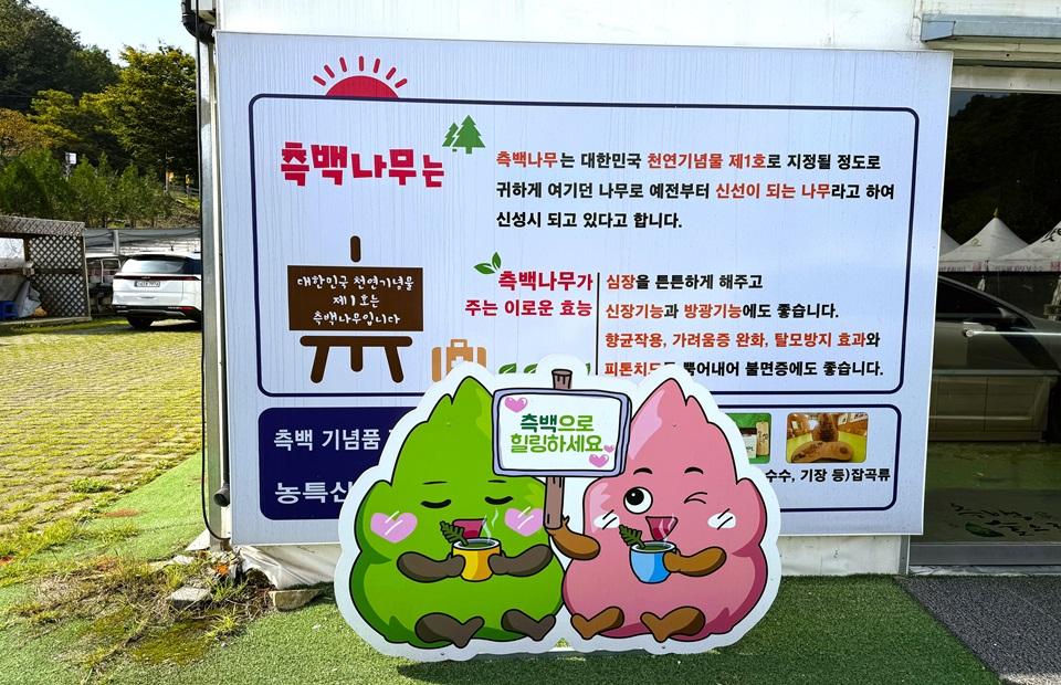 슬로시티 체험장 측백나무 안내판