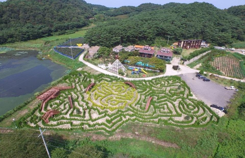 바람아래관광농원과 미로공원 전경