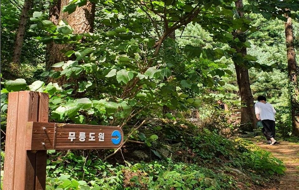 아침고요푸른마을 산길