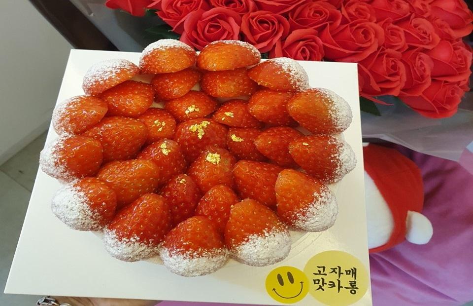 고자매맛카롱 영동군 애견맛집