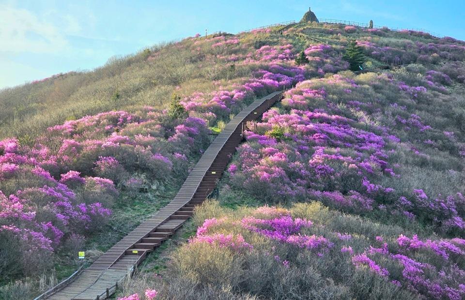 지리산대박터 고매감 전경