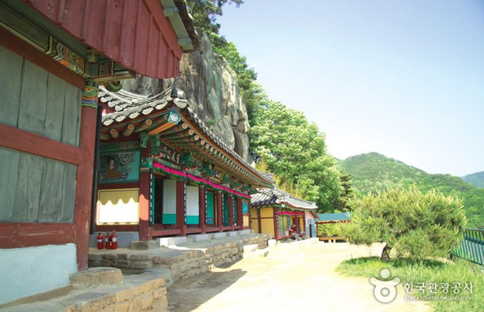 산야초마을