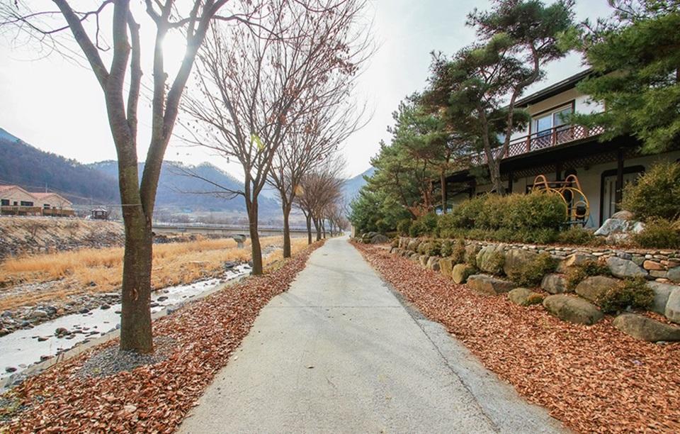 엘림펜션캠핑장 산책길