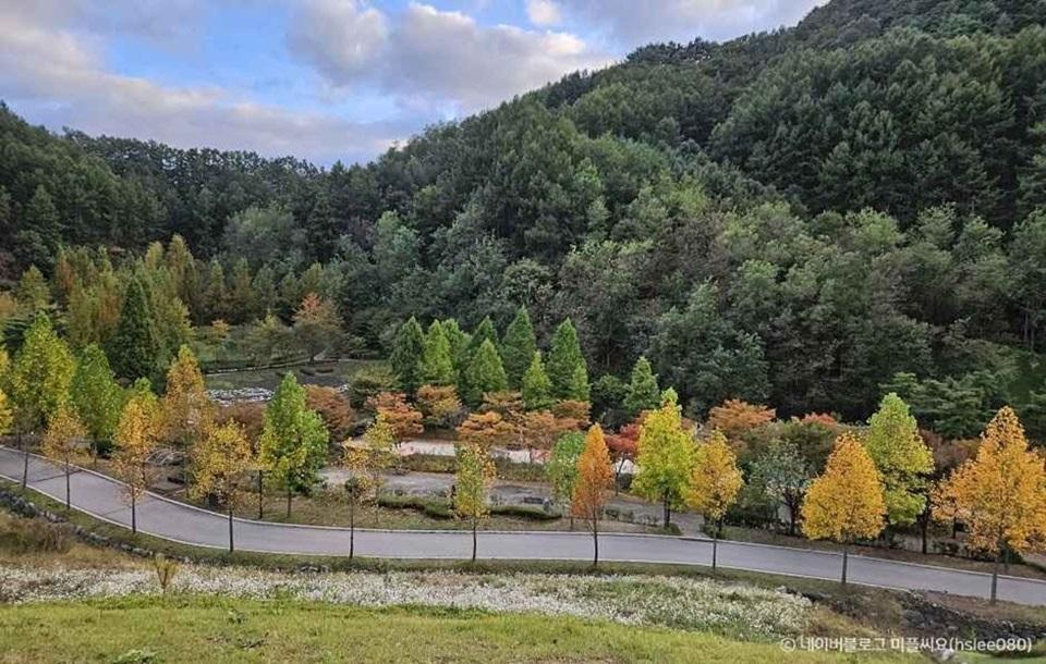 성불산자연휴양림 경관