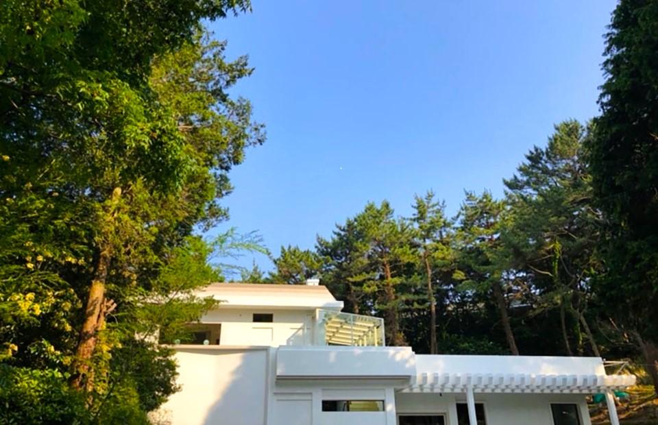 신기커피 영도 외관과 숲