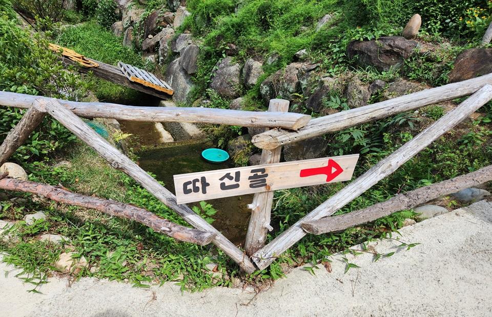 따신골 녹차정원 팻말