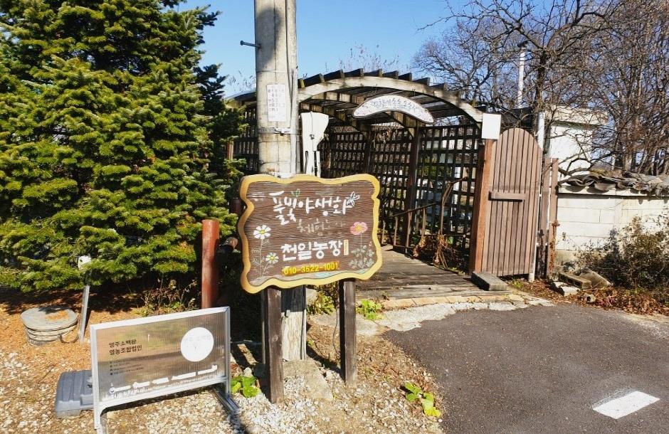 풀빛야생화체험농장 입구와 푯말