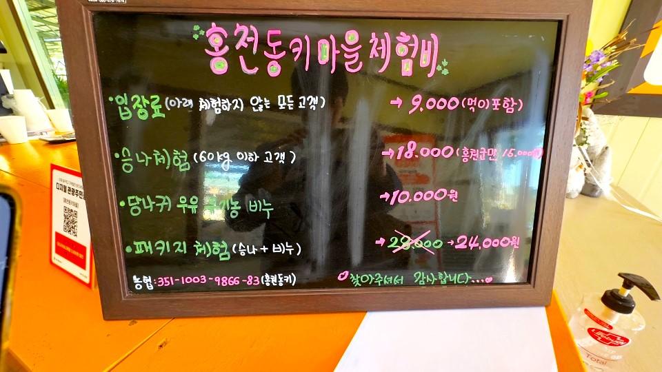 홍천동키마을 체험비