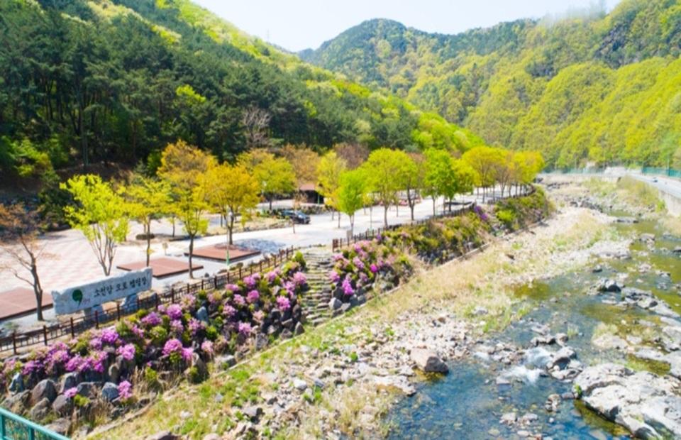소선암캠핑장 전경2