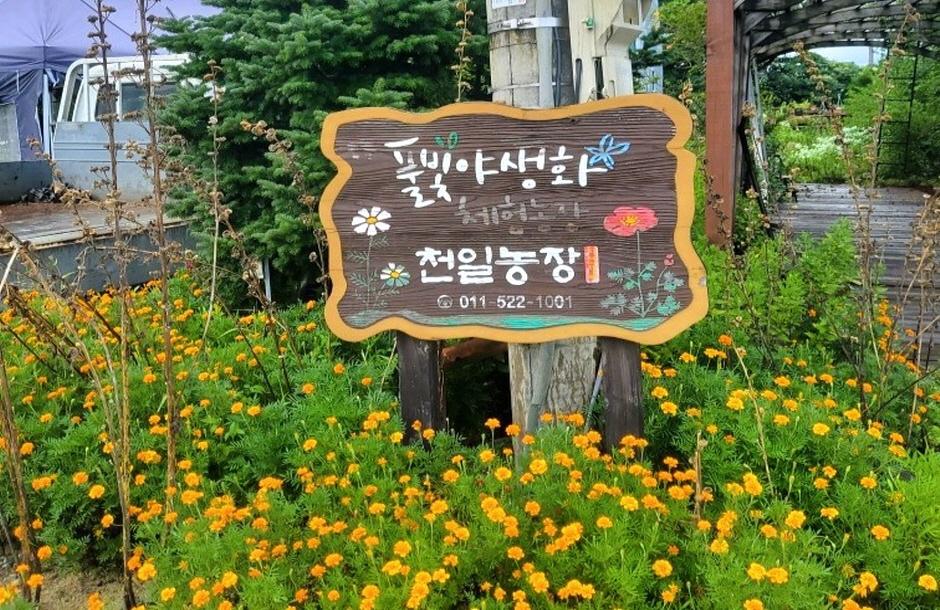풀빛야생화체험농장 푯말