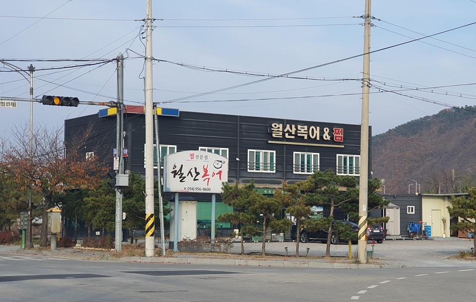 월산복어 외관