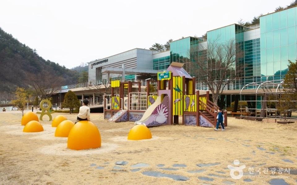 태백 고생대자연사박물관 외관