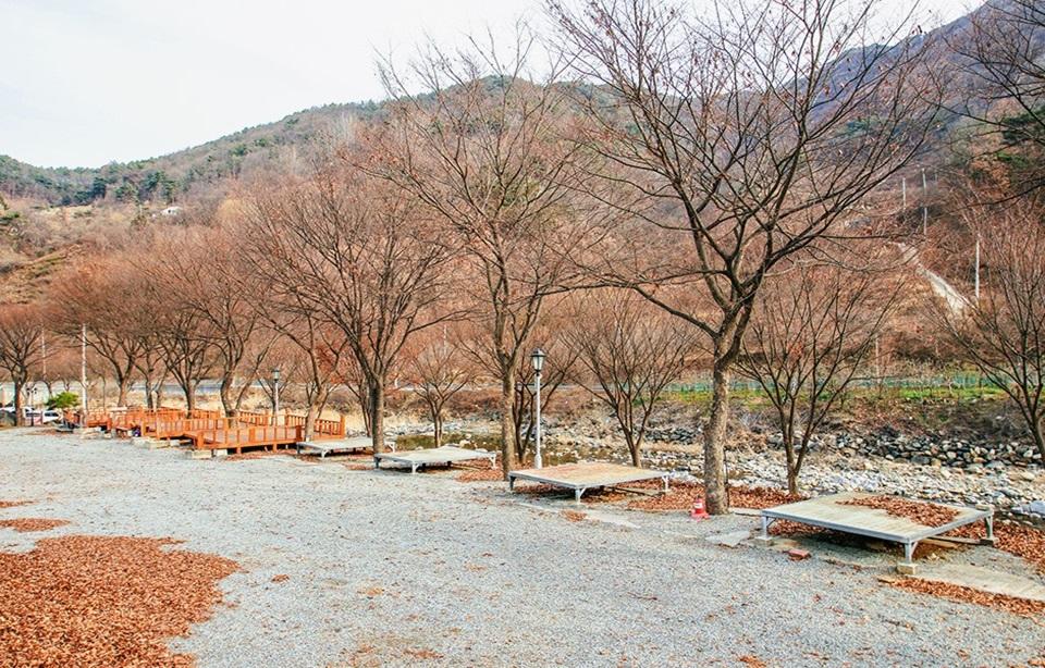 엘림펜션캠핑장 산책길2