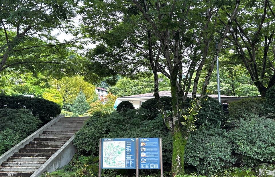 다리안캠핑장 계단과 전경