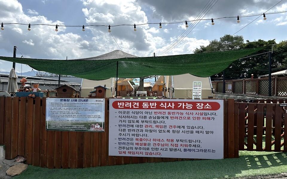 플레이그라운드 영동군 애견카페