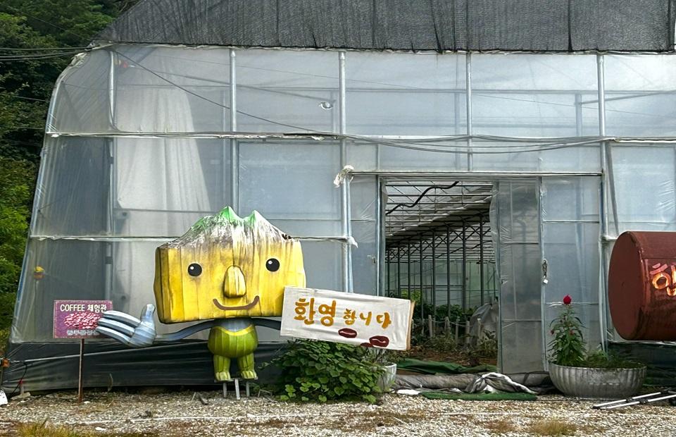 합천커피체험마을  체험