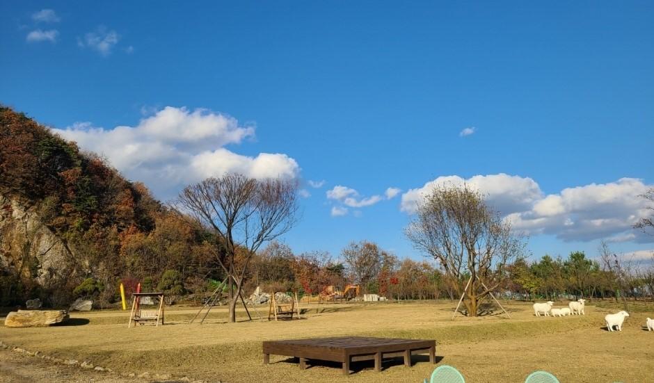 강화레포츠파크 조망