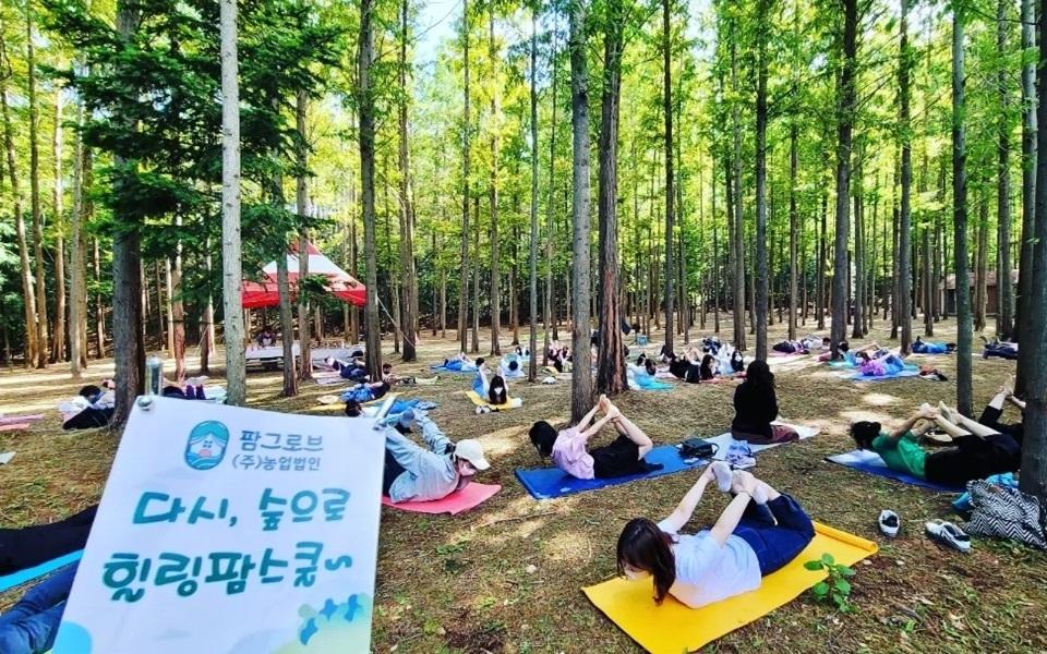 팜그로브㈜농업법인 숲 체험