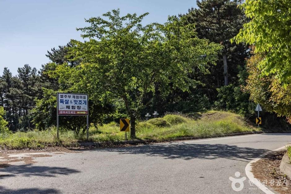 별주부마을 맛조개체험 안내 표지판