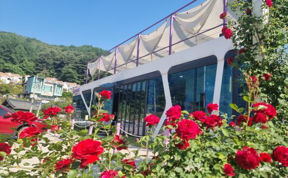 자카란다 카페 전경