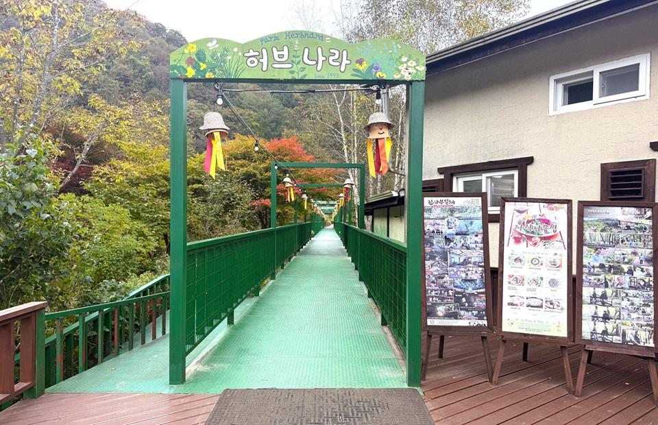 허브나라농원 입구의 길