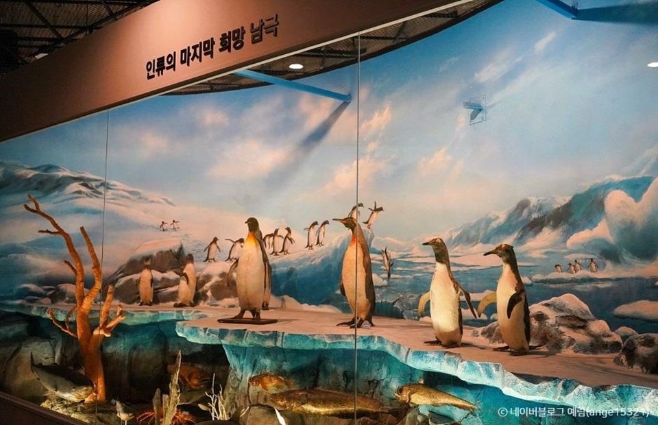 땅끝해양자연사박물관 남극