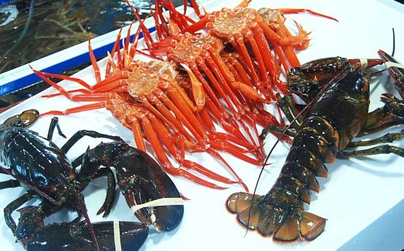 영덕대게센타42호 해산물들