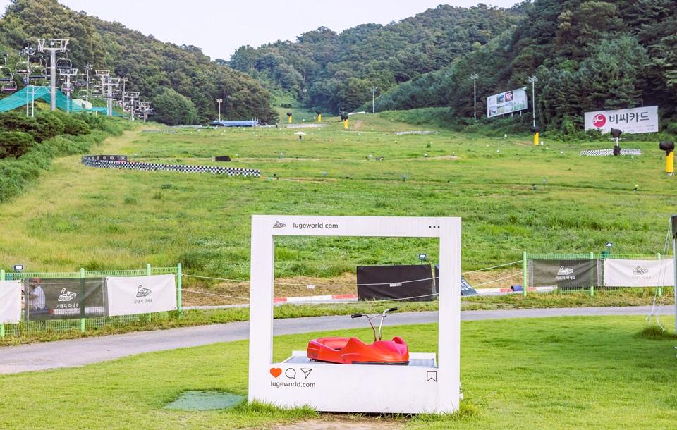 루지월드 포토존
