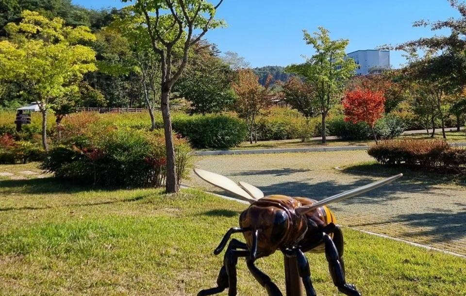 레인보우순카페 산책길