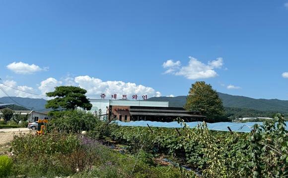 쥬네뜨 와인 포도밭