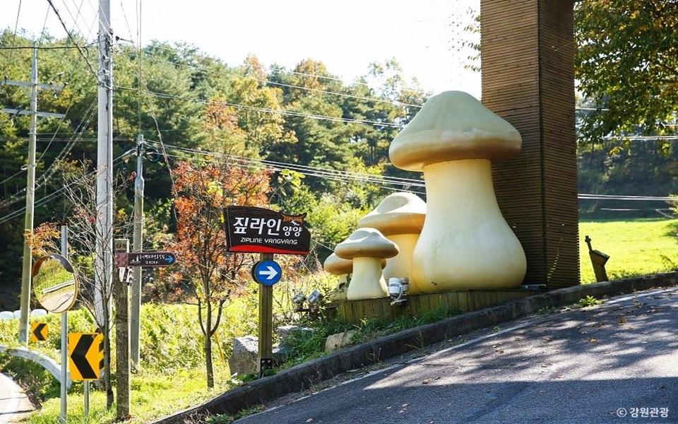 송이밸리자연휴양림 버섯 조형물