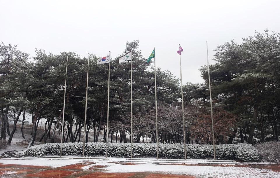 눈 덮힌 괴산군청소년수련원 앞뜰