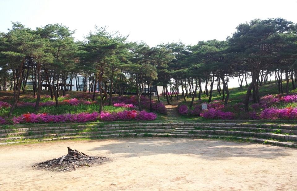 꽃이 핀 괴산군청소년수련원 앞뜰