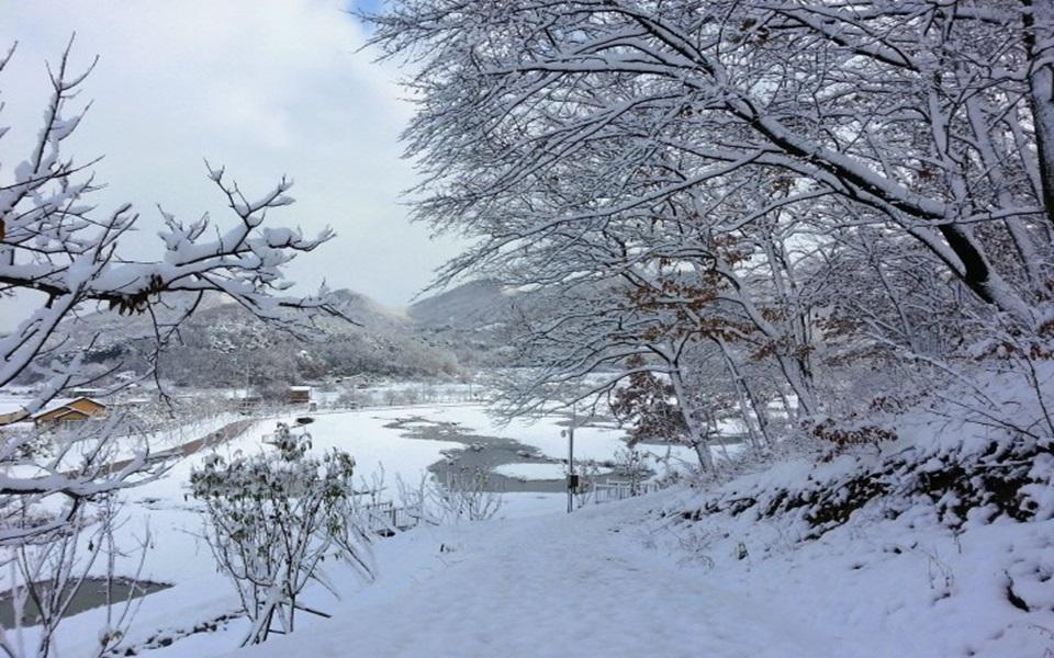 예산황새공원 겨울 전경