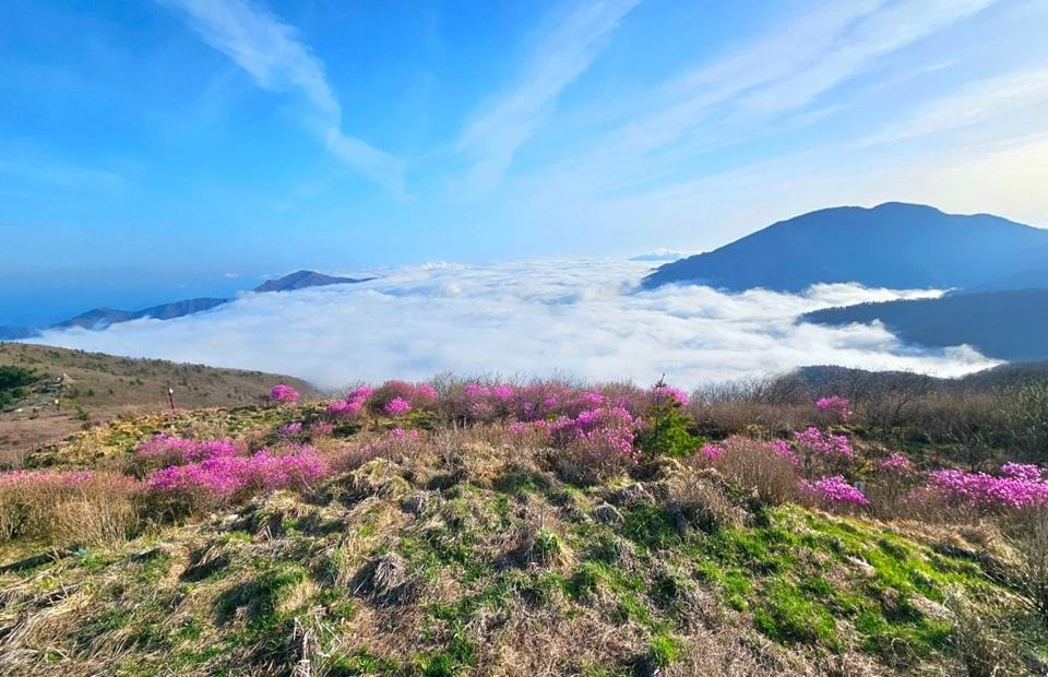 지리산대박터 고매감 전경