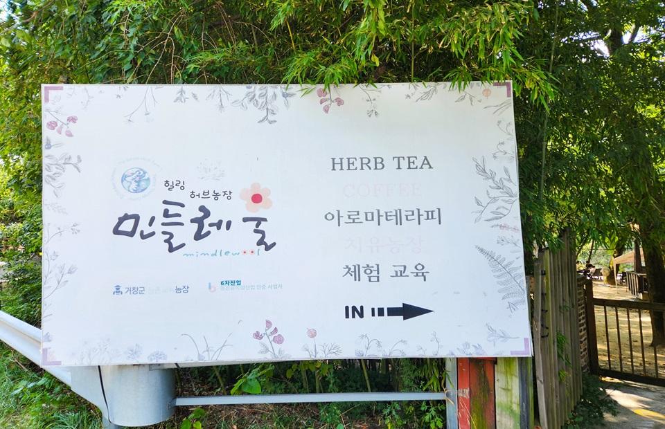 허브팜민들레울 경상 애견맛집