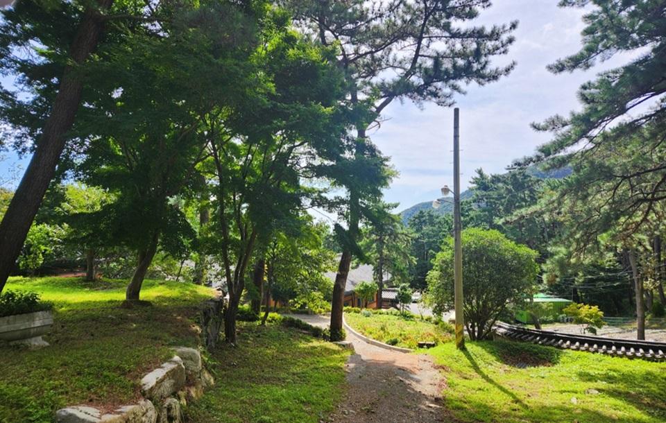 내원정사 산책길