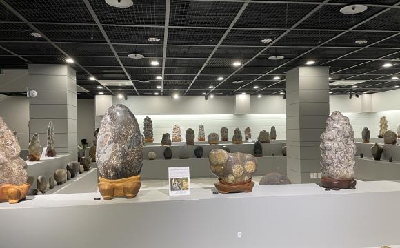 대한민국꽃돌문화원 수석 전시관 내부 수석들