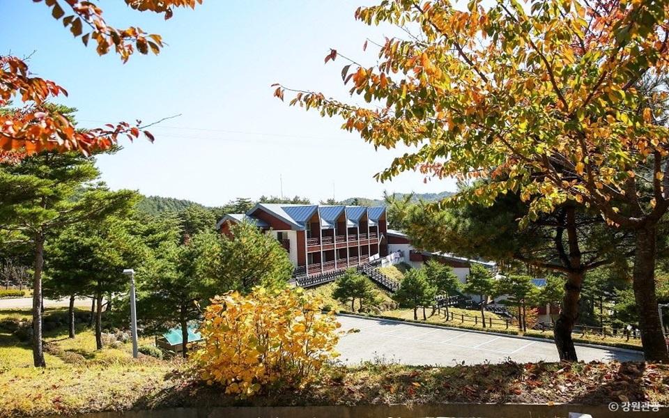 송이밸리자연휴양림 전경2