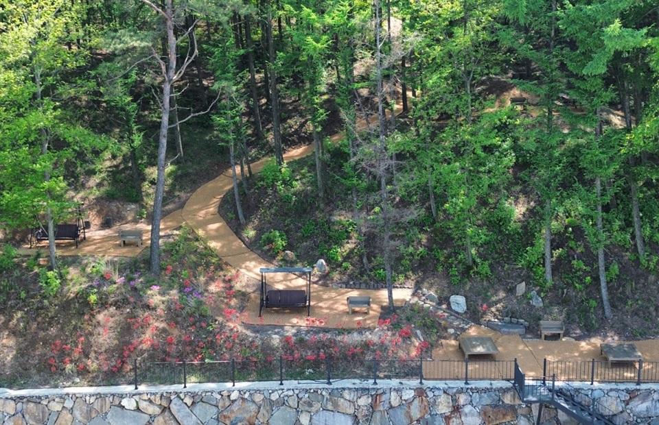 별보다글램핑 숲