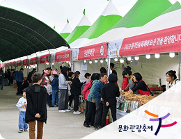 문화관광축제