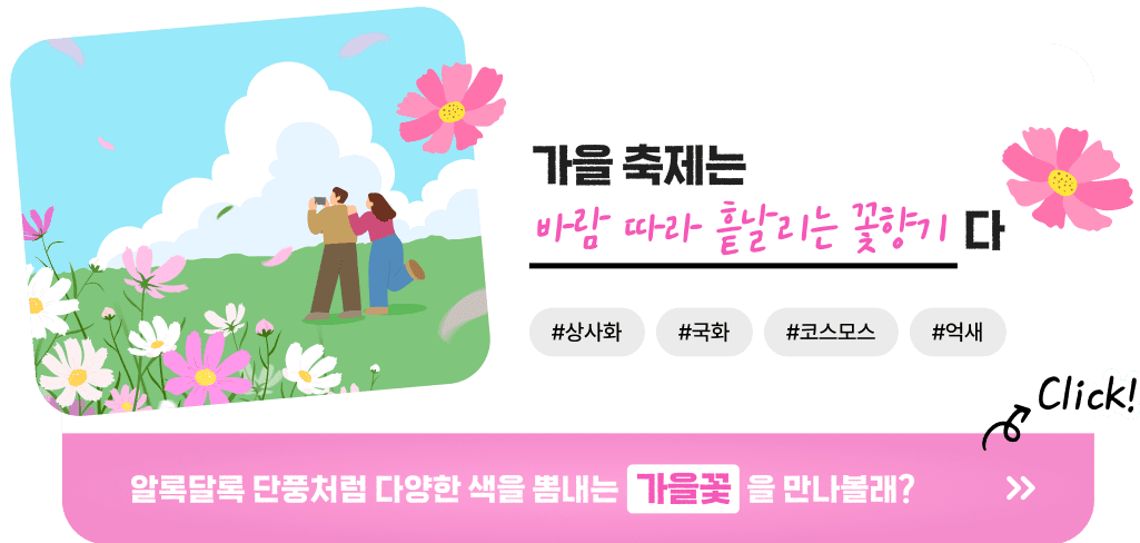 가을 축제는 바람 따라 흩날리는 꽃향기다 #상사화 #국화 #코스모스 #억새