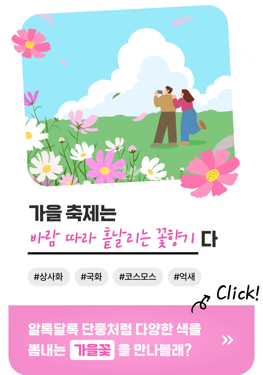 가을 축제는 바람 따라 흩날리는 꽃향기다 #상사화 #국화 #코스모스 #억새