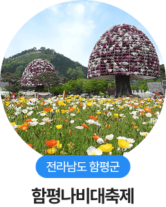 전라남도 함평군, 함평나비대축제