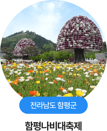 전라남도 함평군, 함평나비대축제