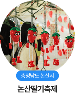 충청남도 논산시, 논산딸기축제