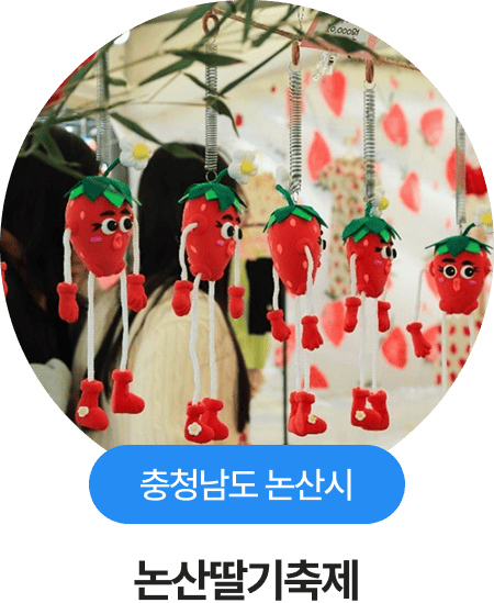 충청남도 논산시, 논산딸기축제