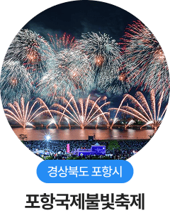 경상북도 포항시, 포항국제불빛축제