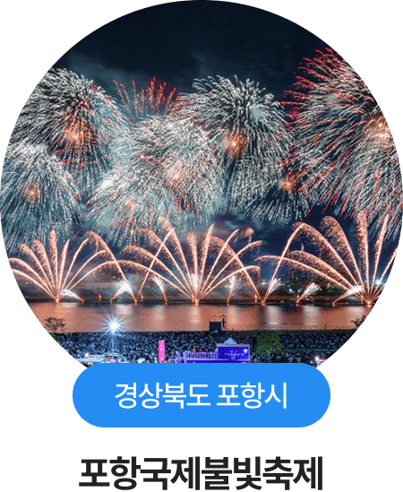 경상북도 포항시, 포항국제불빛축제