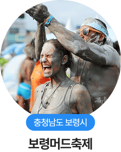 충청남도 보령시, 보령머드축제